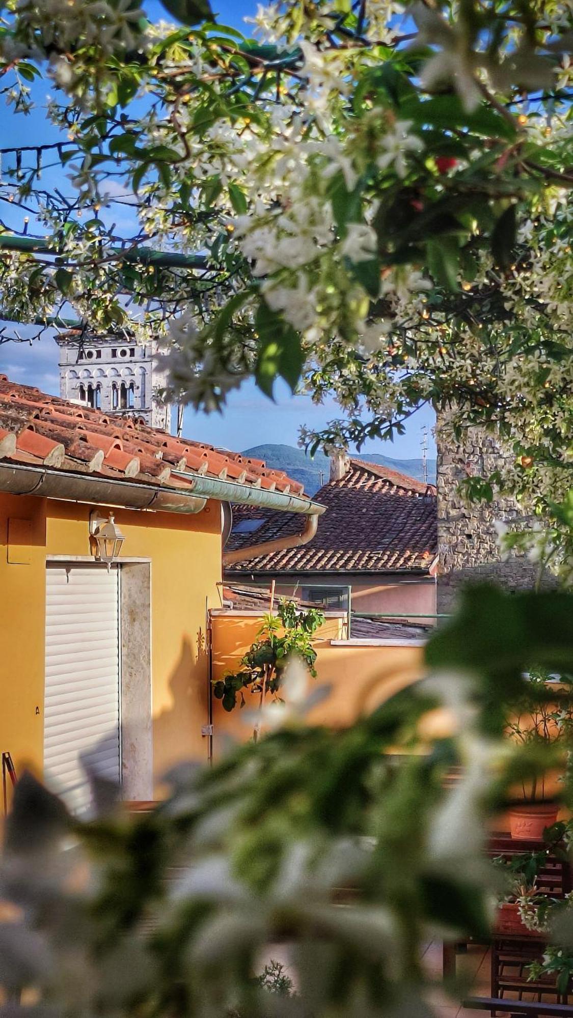 Villa De Maestri - With Elevator Since September 2025 Lucca Exteriér fotografie